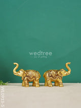 Brass Elephant (Set Of 2) - Gold Antique Finish Wl0913-5 Figurines