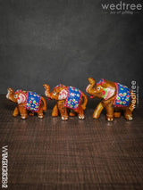 Elephant Set Of 3 - Wbg0382 Home Decors