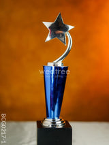 Wooden Blue Trophy With Star - Bcg0217 Branding