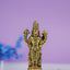 Zinc Alloy Gold Antique Tirupati Balaji Idol - Wbg1420 Murti Rg